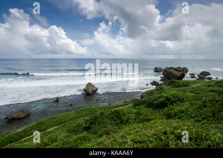 Schöne und robuste Bathsheba Beach an der Ostküste von Barbados Stockfoto