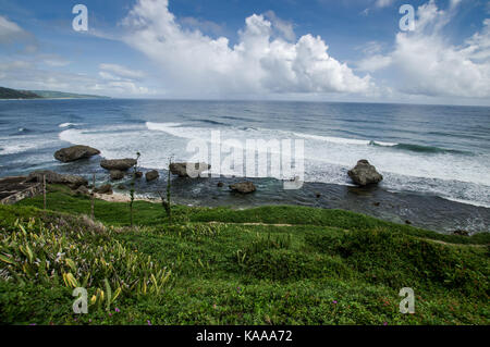 Schöne und robuste Bathsheba Beach an der Ostküste von Barbados Stockfoto