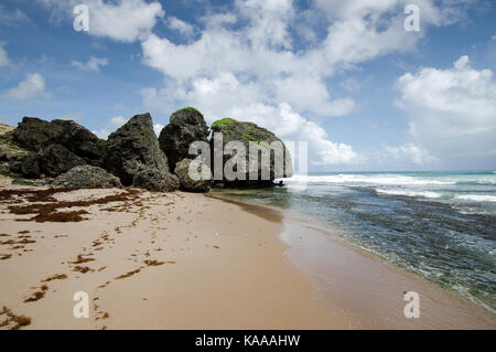 Riesige Steine und Felsen in der Nähe von Batseba, Ostküste von Barbados Stockfoto