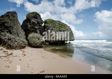 Riesige Steine und Felsen in der Nähe von Batseba, Ostküste von Barbados Stockfoto