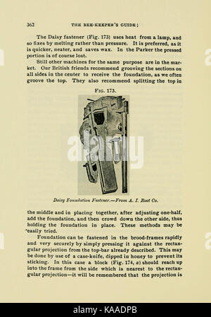 Handbuch für den Imker (Seite 362) BHL 18189037 Stockfoto