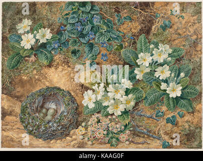 Dieses niederländische Stillleben umfasst ein Vogelnest, Veilchen, Primeln und Apfelblüten, die die Schönheit der Natur in einer Kunstform einfangen, die zarte Flora und Fauna betont. Stockfoto