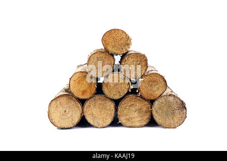 Birke brennholz isoliert Stapel Stockfoto