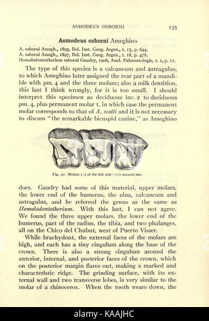 Die deseado Bildung von Patagonien (Seite 135) BHL 21733637 Stockfoto