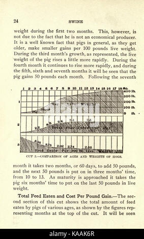 Schwein ; Tierzucht, Fütterung und Management (Seite 24) BHL 22849309 Stockfoto