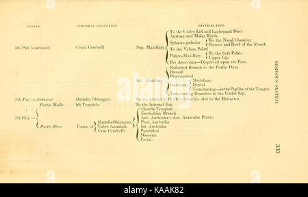 Eine anatomische Illustration aus „The Anatomy of the Horse“ von George Stubbs, in der detaillierte Strukturen der Anatomie des Pferdes, einschließlich Knochen, Muskeln und Organe, dargestellt werden. Stockfoto
