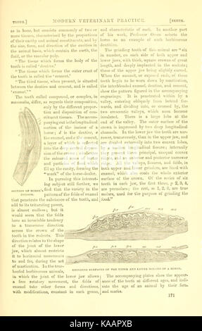 Das ländliche Leben beschrieben und illustriert, in der Verwaltung der Pferde, Hunde, Rinder, Schafe, Schweine, Geflügel, usw. usw. BHL 20715442 Stockfoto