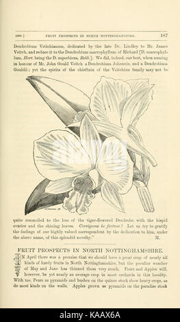 Diese Arbeit, „der Florist und Pomologe“, konzentriert sich auf den Anbau und die Pflege von Blumen und Früchten und bietet eine detaillierte Erforschung des Gartenbaus und der Pomologie, wie sie im 19. Jahrhundert praktiziert wurde. Stockfoto