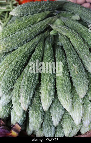 Bittere Gurken - asiatische Gemüse auf einem Markt - - - Bittergurken in einem asiatischen Markt in Sri Lanka Stockfoto