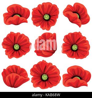 Mohn Blumen Symbole gesetzt. Vektor isoliert botanischen Symbole der blühenden Klatschmohn Blüten. Blumensträuße oder Frühling blühenden Trauben de blühen Stock Vektor