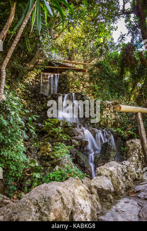 Wasserfall mit vielen Pflanzen und grün Stockfoto