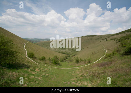 Blick auf Chalk downland Landschaft bei Butser Hill in der South Downs National Park, Hampshire, Großbritannien Stockfoto