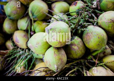 Coconut candy Materialien, Ben Tre, Vietnam Stockfoto