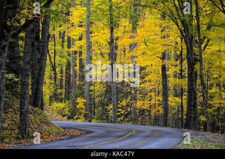 Herbst Farbe auf Little River Road, Gatlinburg Stockfoto