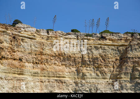 Geologische Gesteinsformationen und Höhlen an der Algarve in Portugal Stockfoto