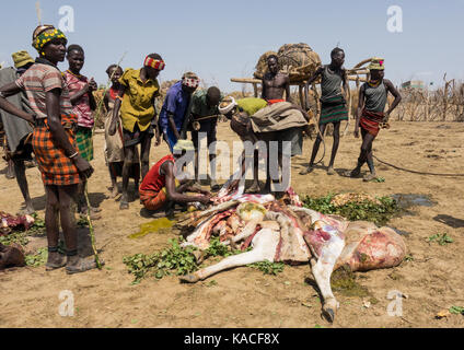 Kuh Opfer während Dassanech Stolz Ox Feier, Salheng, Turkana County, Omorate, Äthiopien Stockfoto