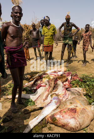 Kuh Opfer während Dassanech Stolz Ox Feier, Salheng, Turkana County, Omorate, Äthiopien Stockfoto