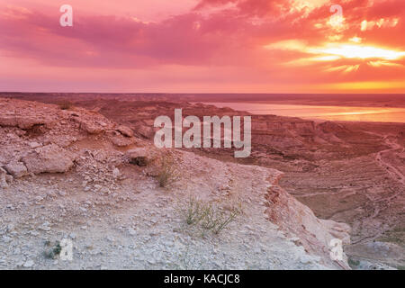 Steppe Felsen bei Sonnenuntergang. Kasachstan. Mangistau Region. Stockfoto