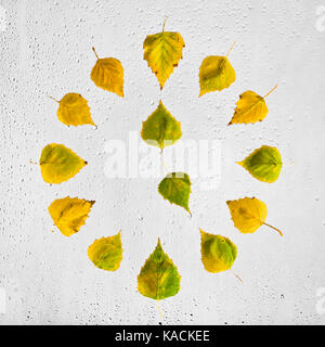 Uhr mit bunten Herbst birke Blätter auf dem nassen Glas gestapelt. Fünf Uhr. 5. Stockfoto