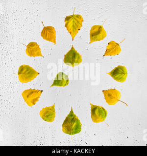 Uhr mit bunten Herbst birke Blätter auf dem nassen Glas gestapelt. Acht Uhr. 8. Stockfoto