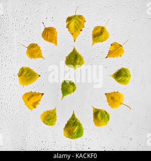 Uhr mit bunten Herbst birke Blätter auf dem nassen Glas gestapelt. Sieben Uhr. 7. Stockfoto