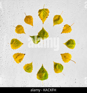 Uhr mit bunten Herbst birke Blätter auf dem nassen Glas gestapelt. Zehn Uhr. 10. Stockfoto