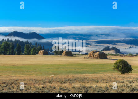 Heuballen und morgen Nebel im Tal in der Nähe des Avon Avon, Montana Stockfoto