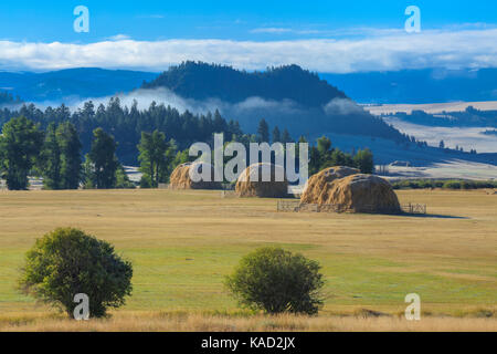 Heuballen und morgen Nebel im Tal in der Nähe des Avon Avon, Montana Stockfoto