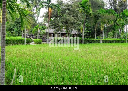 Mein Sohn, Vietnam - 23. März 2016: Der My Lai Massaker Gedenkstätte. Die My Lai Massaker war der Vietnam Krieg Massentötung von zwischen 347 und 504 unarm Stockfoto