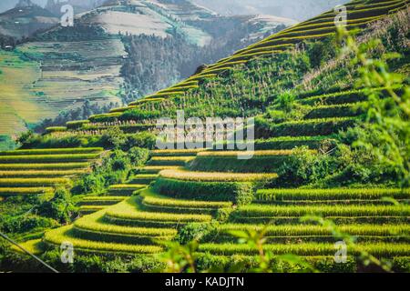 Schöne Aussicht von Haus und Dorf Reis Terrasse an der tu le, mu cang Chai, Vietnam Stockfoto
