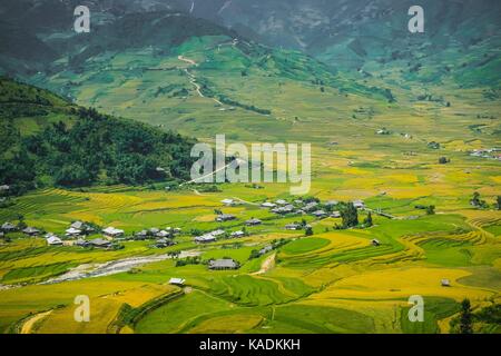 Lim-Mong, Paddy Saison Stockfoto