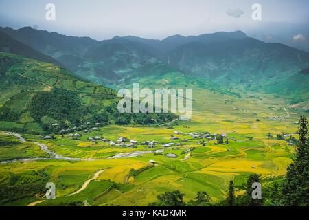 Lim-Mong, Paddy Saison Stockfoto