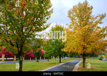 Herbst Blätter hinzufügen, um spektakulär Farbe in den Viktorianischen hohe Land Stadt Hell, Australien. Stockfoto