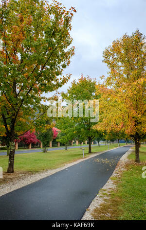 Herbst Blätter hinzufügen, um spektakulär Farbe in den Viktorianischen hohe Land Stadt Hell, Australien. Stockfoto