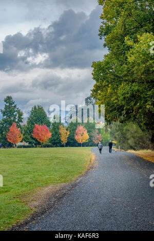 Ein reifes Paar Spaziergang mit ihrem Hund durch einen Park genießen Sie die bunten Blätter im Herbst in der Viktorianischen hohe Land Stadt Hell. Stockfoto