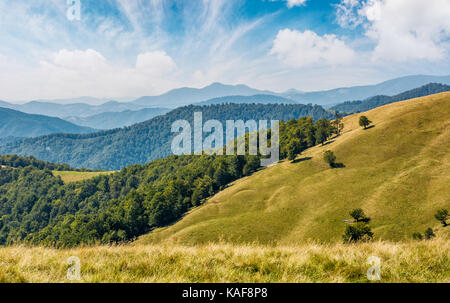 Schönen alpinen Rasen Wiese in den Karpaten. Herbstliche sonnige Wetter mit wunderschönen cloudscape über Berge mit Wald am Hang Stockfoto