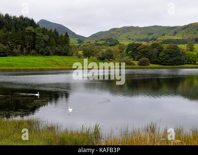 Doon Lough oder Foleys Pound in Leitrim County in der Nähe von Sligo, Irland Stockfoto