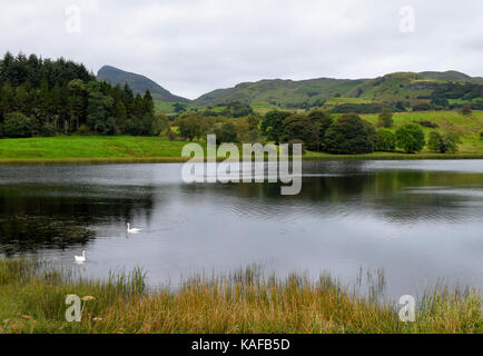 Doon Lough oder Foleys Pound in Leitrim County in der Nähe von Sligo, Irland Stockfoto