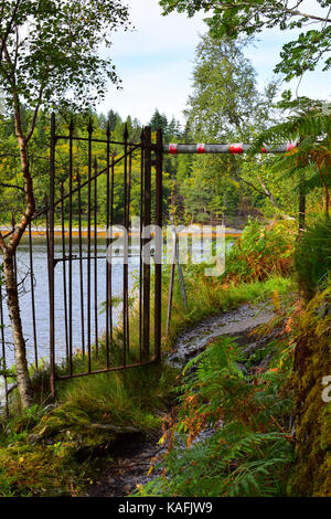 Alte Metal Gate in der Nähe von Castle Tioram - ardnamurchan Halbinsel - Schottland Stockfoto
