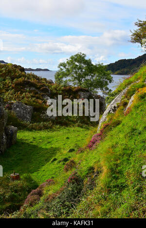 Blick vom Schloss Tioram - Ardnamurchan Halbinsel - Schottland Stockfoto