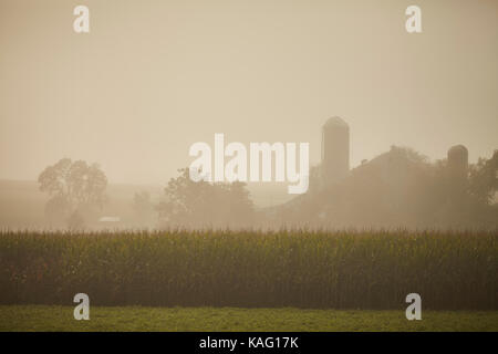 Bauernhof am frühen Morgen in der Nähe von Belleville, Pennsylvania, USA Stockfoto