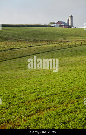 Bauernhof am frühen Morgen in der Nähe von Belleville, Pennsylvania, USA Stockfoto