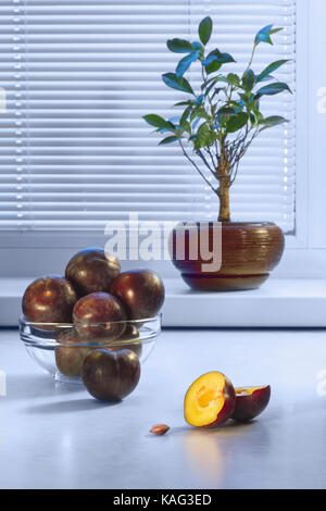 Große dunkle Pflaumen in einer Glasplatte auf einen Tisch und einen Ficus in einem keramischen Topf auf der Fensterbank vor dem Hintergrund eines Fensters mit einem Rahmen aus Kunststoff und Jalousien Stockfoto