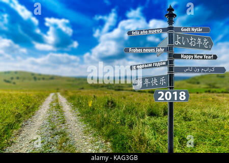 Wegweiser whit Frohes neues Jahr in vielen Sprachen, Feld Weise im Hintergrund Stockfoto