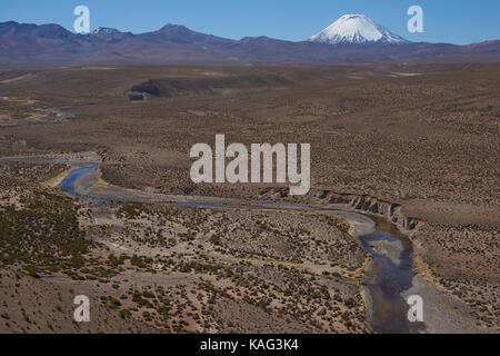 Schnee bedeckt Parinacota Vulkan (6342 m) überragt das Altiplano und Klippen entlang das Tal des Flusses Lauca in den Lauca Nationalpark. Stockfoto