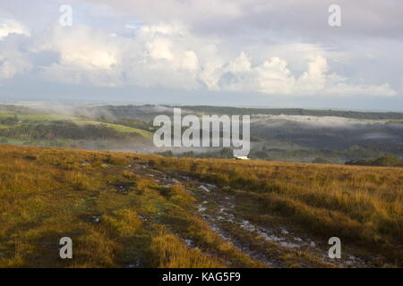 Misty Morning in Richtung Lydford Gorge Nationalpark Dartmoor Devon England suchen Stockfoto