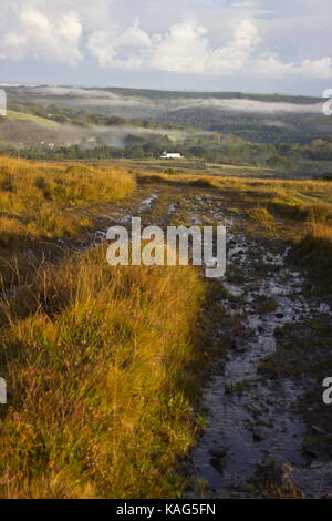 Misty Morning in Richtung Lydford Gorge Nationalpark Dartmoor Devon England suchen Stockfoto