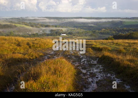 Misty Morning in Richtung Lydford Gorge Nationalpark Dartmoor Devon England suchen Stockfoto