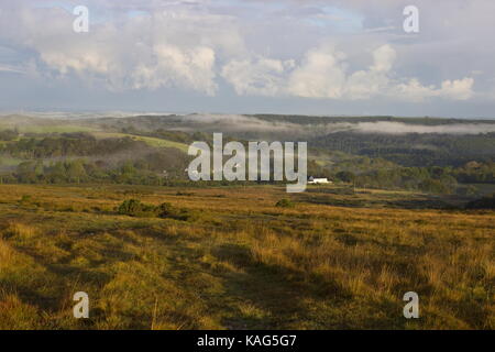 Misty Morning in Richtung Lydford Gorge Nationalpark Dartmoor Devon England suchen Stockfoto