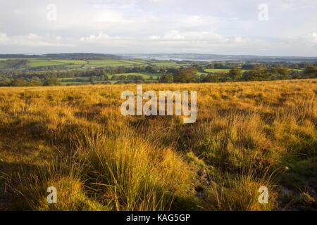 Misty Morning in Richtung Lydford Gorge Nationalpark Dartmoor Devon England suchen Stockfoto